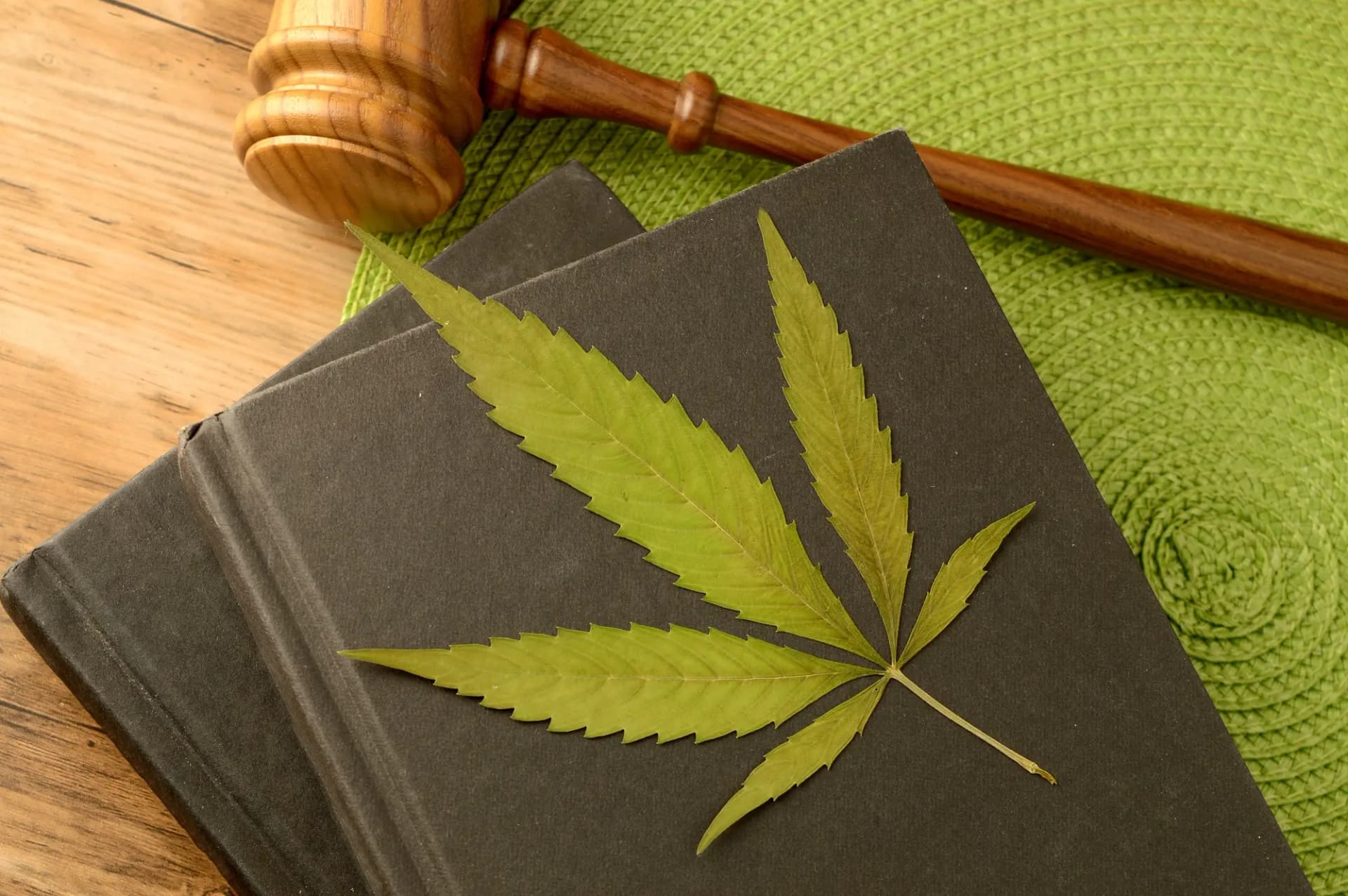 法務法人大輪の大麻の容疑に関する助力事項