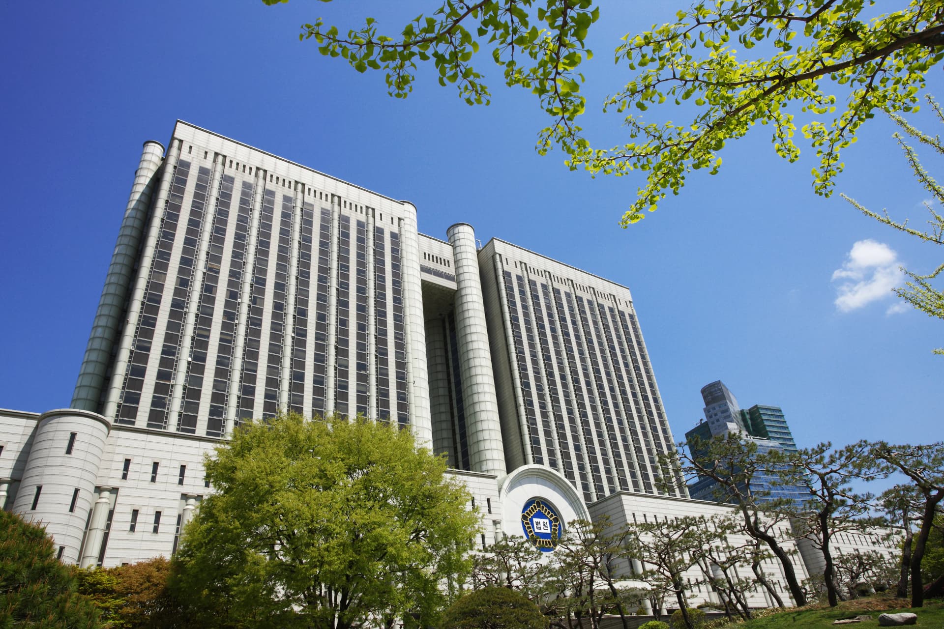 大輪 医療専門弁護士 医療行政訴訟 判決結果